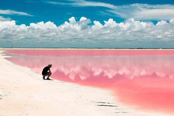Las Coloradas & Rio Lagartos, Beautiful Eco Adventure from Tulum City - The Sum Up