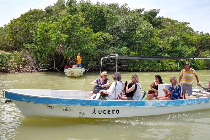 Las Coloradas Tour! Boat Ride, Lunch & Rio Lagartos From Cancun - Customer Experiences and Feedback