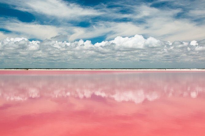 Las Coloradas Tour from Cancun and Playa del Carmen - An In-Depth Look at the Tour