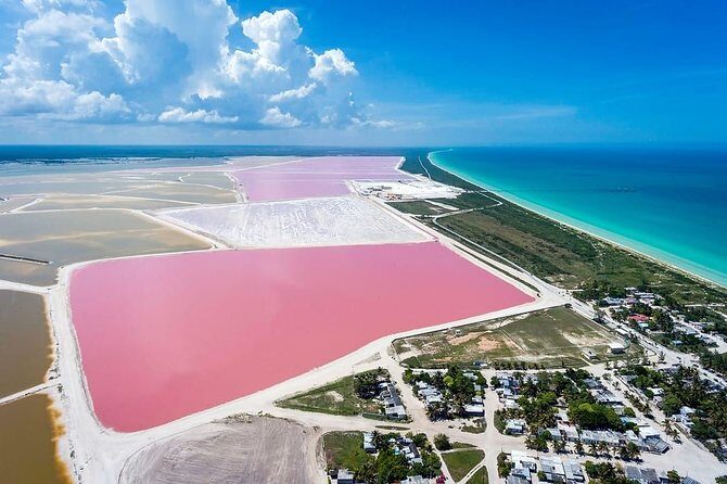 Las Coloradas Tour from Cancun and Playa del Carmen - Frequently Asked Questions