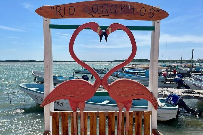 Las Coloradas Tour to Pink Lakes and Wildlife Wonders - Duration & Group Size