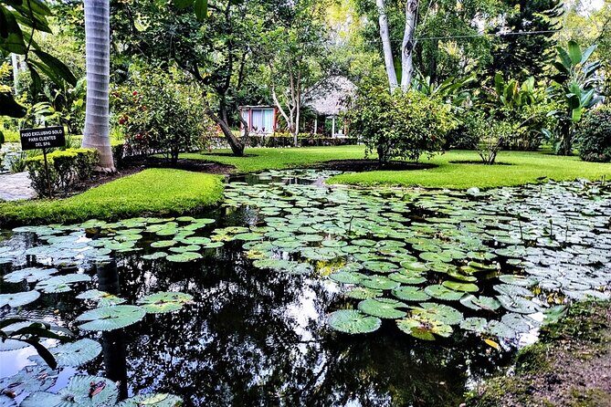 Las Estacas River, Tepoztlan & Adventure Tour from Mexico City - FAQ