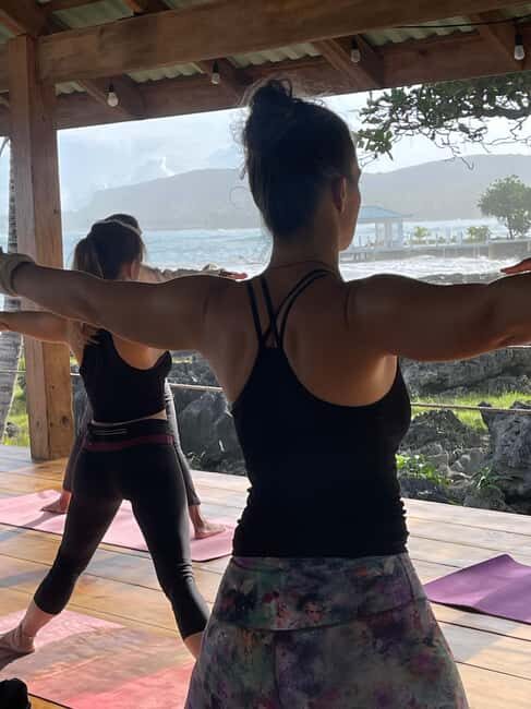 Las Galeras: Morning Yoga or Aerial Yoga at Villa Serena - Who Would Enjoy This?
