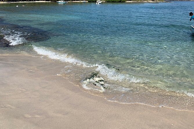 Las Gatas Kayaking and Snorkeling Tour - Health and Safety Guidelines