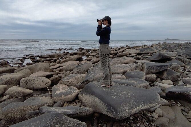 Las Labradas Archaeological Site - Nature and History Tour - The Sum Up