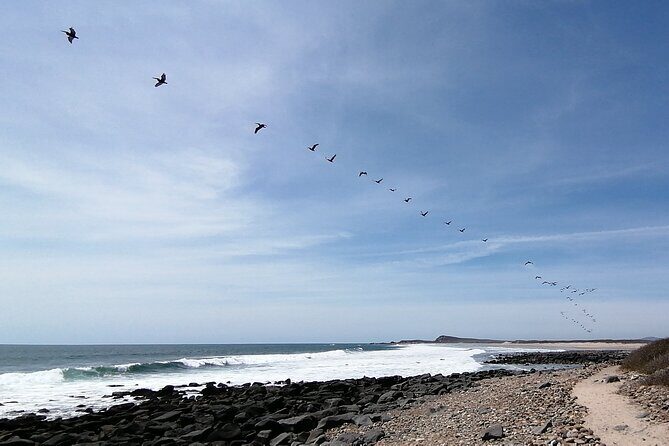 Las Labradas Archaeological Site - Nature and History Tour - FAQ