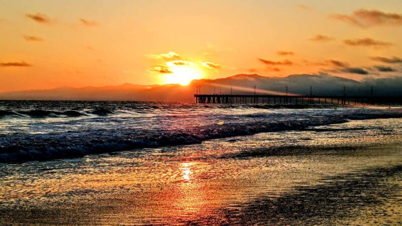 LA's Most Romantic Luxury Wine & Dine Boat Cruise & Sealions - Final Thoughts: Is This Tour for You?