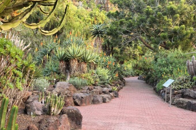 Las Palmas, Botanical Gardens and Bandama Volcano Tour - Tour Duration and Languages