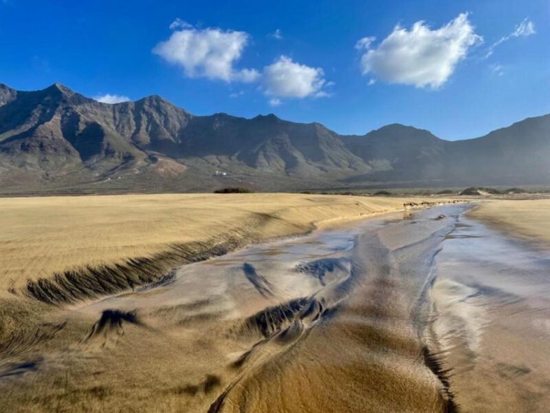 Las Palmas: Fuerteventura Cofete Beach and Desert Safari - Customer Reviews and Ratings