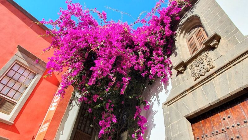 Las Palmas: Old Town Highlights Self-Guided Walking Tour - Exploring the Old Town
