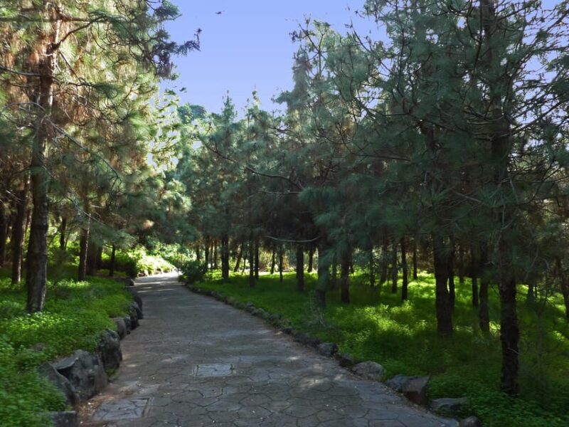 Las Palmas: Privat Botanic Garden Tour & opt. hike Extension - Key Points