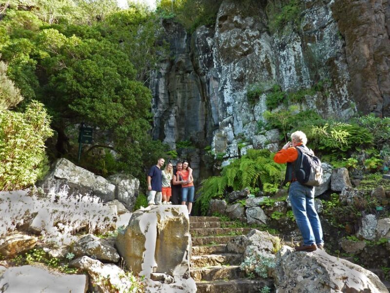 Las Palmas: Privat Botanic Garden Tour & opt. hike Extension - An In-Depth Look at the Tour Experience