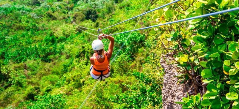 Las Terrenas : Adrenaline Zipline Adventure Tour in Samana - Key Points