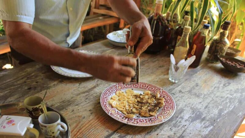 Las Terrenas: ATV Tour with Farm Visit and Beach Stop - An In-Depth Look at the Tour  
