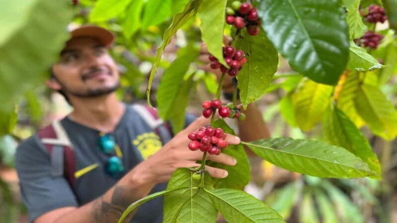 Las Terrenas: ATV Tour with Farm Visit and Beach Stop - FAQ  
