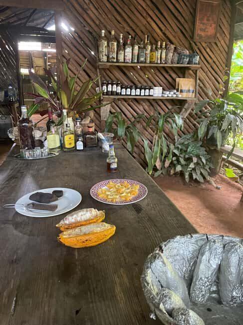 Las Terrenas: Private Coffee Trail ATV Tour in Samana - Summary of the Experience