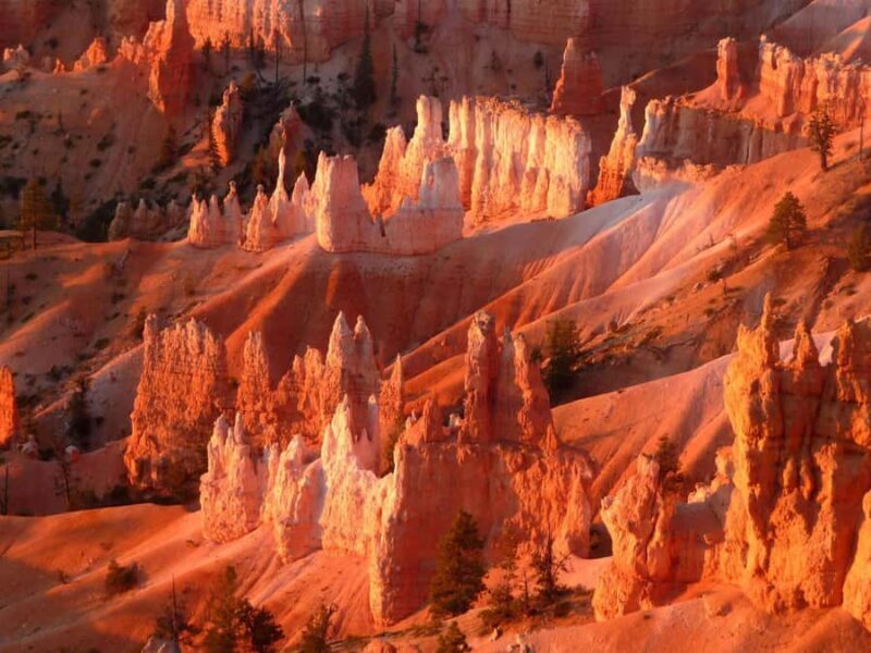 Las Vegas: Antelope Canyon, Bryce, Zion, Horseshoe Bend Tour - Key Points