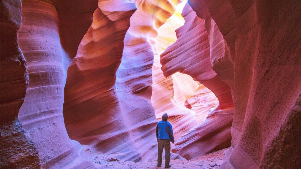 Las Vegas: Antelope Canyon & Horseshoe Bend Tour - Key Points