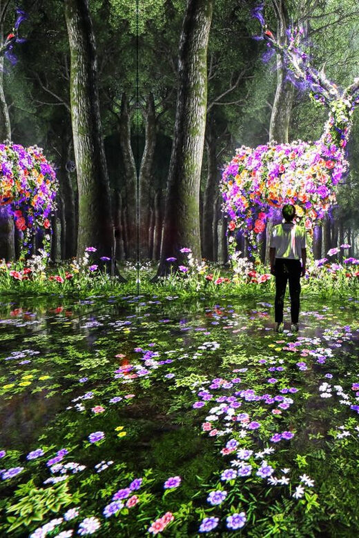 Las Vegas: Arte Museum Las Vegas Immersive Art Exhibition - An In-Depth Look at the Arte Museum Las Vegas Immersive Art Exhibition