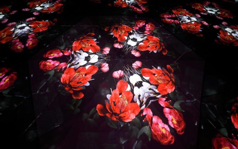 Las Vegas: Arte Museum Las Vegas Immersive Art Exhibition - The Reviews: What Visitors Say