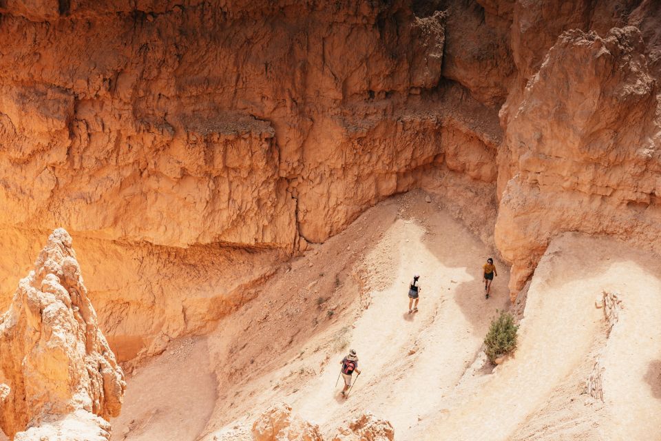 Las Vegas: Bryce and Zion National Parks Tour With Lunch - Zion National Park Visit