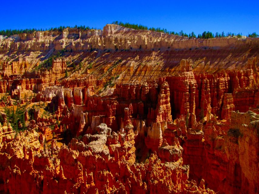 Las Vegas: Bryce and Zion National Parks Tour With Lunch - Bryce Canyon National Park Visit