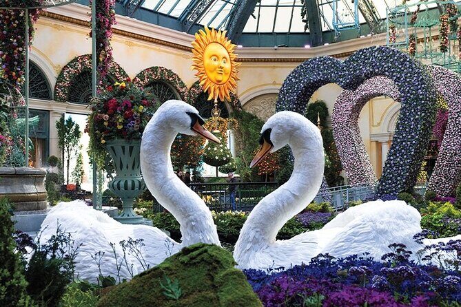 Las Vegas City Tour Street Experience - An In-Depth Look at the Las Vegas City Tour Street Experience