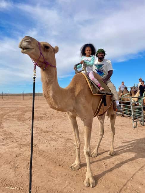 Las Vegas: Desert Camel Ride - Key Points