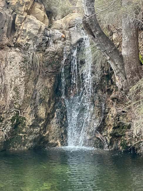 Las Vegas: Family Friendly Guided Hike to Emerald Falls - The Experience: Real Traveler Insights