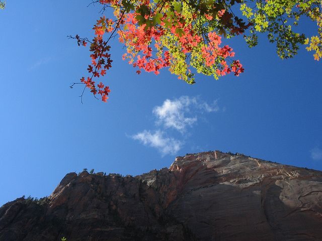 Las Vegas: Grand Canyon, Antelope, Bryce and Zion 3-Day Tour - Final Thoughts