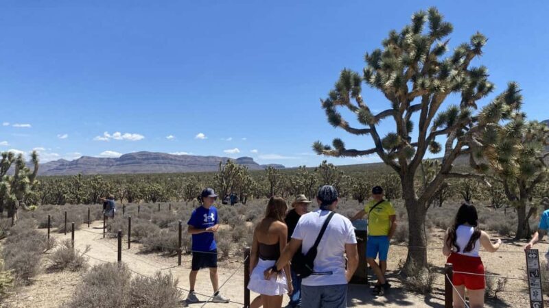 Las Vegas: Grand Canyon Helicopter & Ranch Adventure by Bus - Key Points