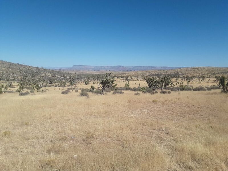 Las Vegas: Grand Canyon Helicopter West Rim Flight & Options - Who Should Consider This Tour?