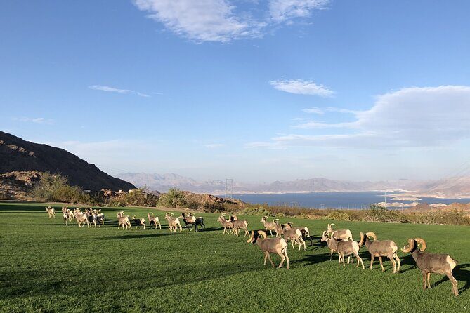 Las Vegas : Grand Canyon West, Hoover Dam, One-Day Tour - Final Thoughts