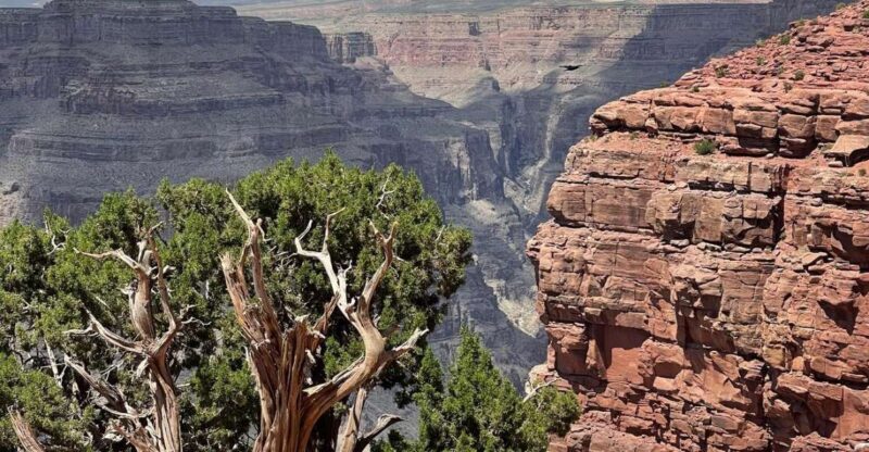 Las Vegas: Grand Canyon West, Hoover Dam & Optional Skywalk - Key Points