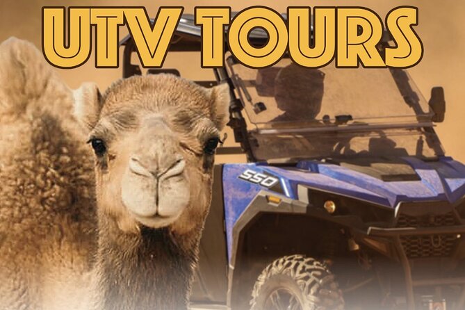 Las Vegas Guided UTV Safari and Zoo Tour - Key Highlights
