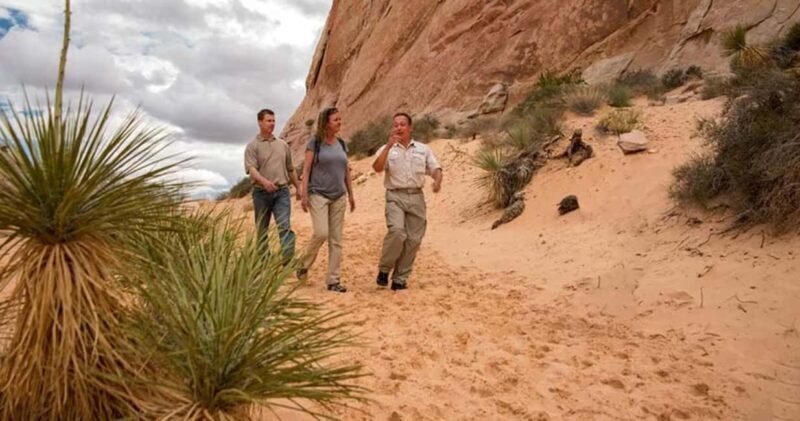 Las Vegas: Hoover Dam and Valley of Fire Combo Tour - Key Points