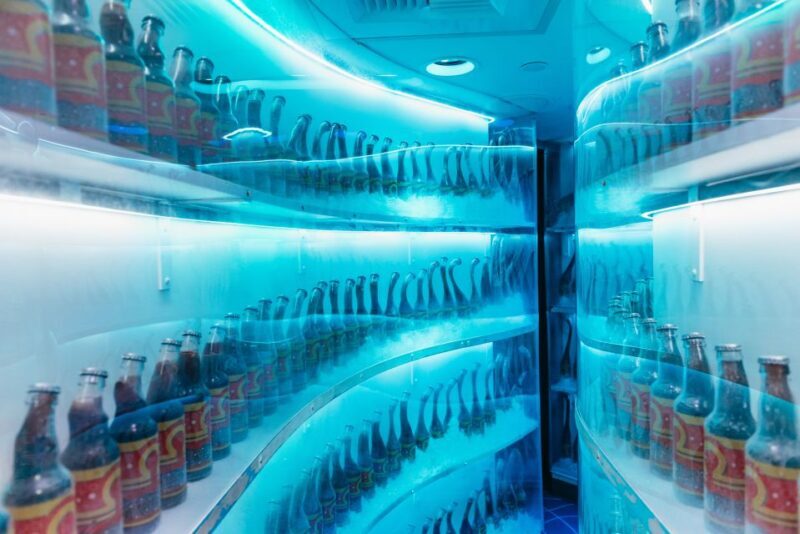 Las Vegas: Meow Wolf Omega Mart Ticket - Key Points