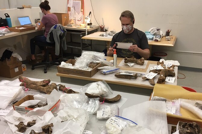 Las Vegas Natural History Museum Admission Ticket - Animal Displays and Shark Feeding