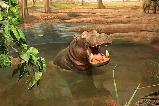 Las Vegas Natural History Museum Admission Ticket - Accessibility and Visitor Logistics