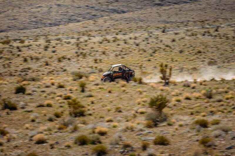 Las Vegas Pioneer Saloon | SXS Off Road Tour With Lunch! - The Practicalities: What You Need to Know