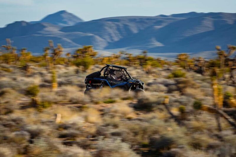 Las Vegas Pioneer Saloon | SXS Off Road Tour With Lunch! - FAQ