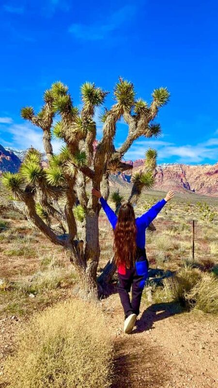 Las Vegas: Private Red Rock Canyon Guided Driving Adventure - What to Expect from the Tour