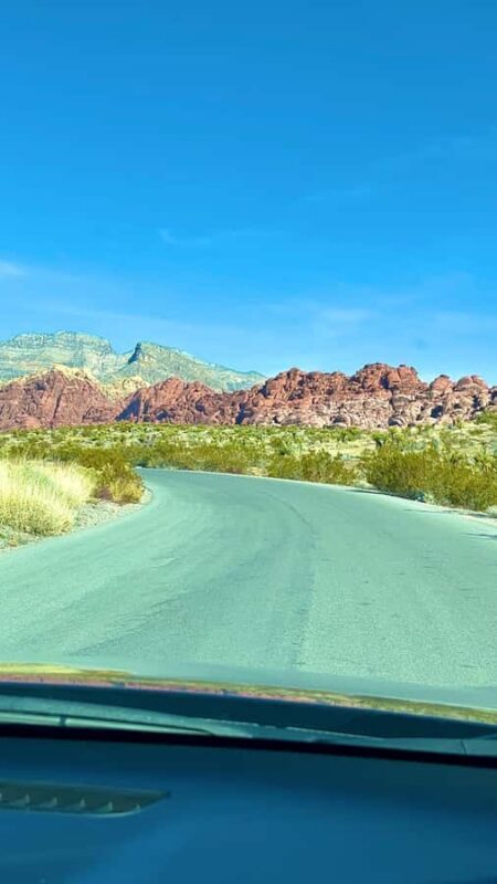 Las Vegas: Private Red Rock Canyon Guided Driving Adventure - The Scenery and Wildlife