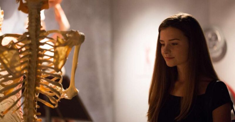 Las Vegas: REAL BODIES at Horseshoe Las Vegas Entry Ticket - Key Points