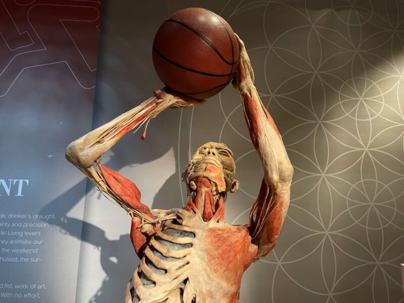 Las Vegas: REAL BODIES at Horseshoe Las Vegas Entry Ticket - Final Thoughts