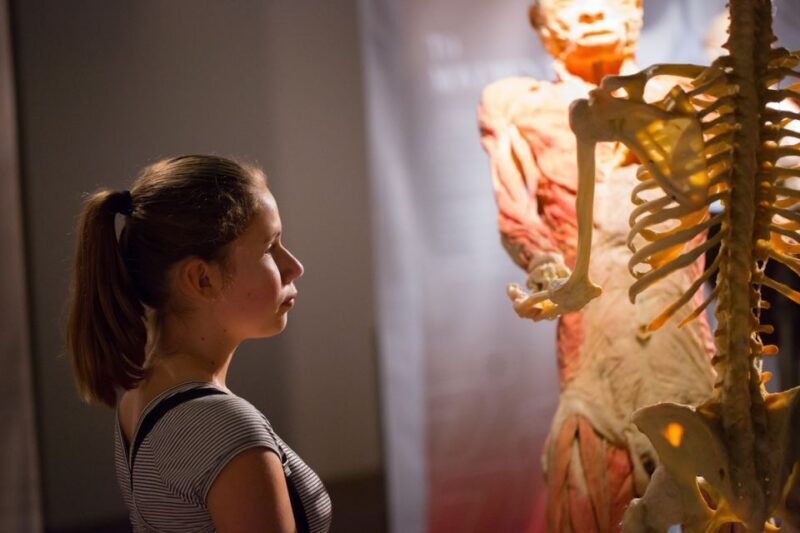 Las Vegas: REAL BODIES at Horseshoe Las Vegas Entry Ticket - FAQs