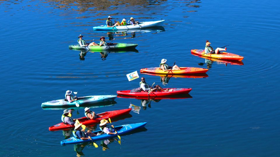 Las Vegas: SELF-DRIVE Willow Beach Emerald Cove Kayak Tour - Highlights of the Tour