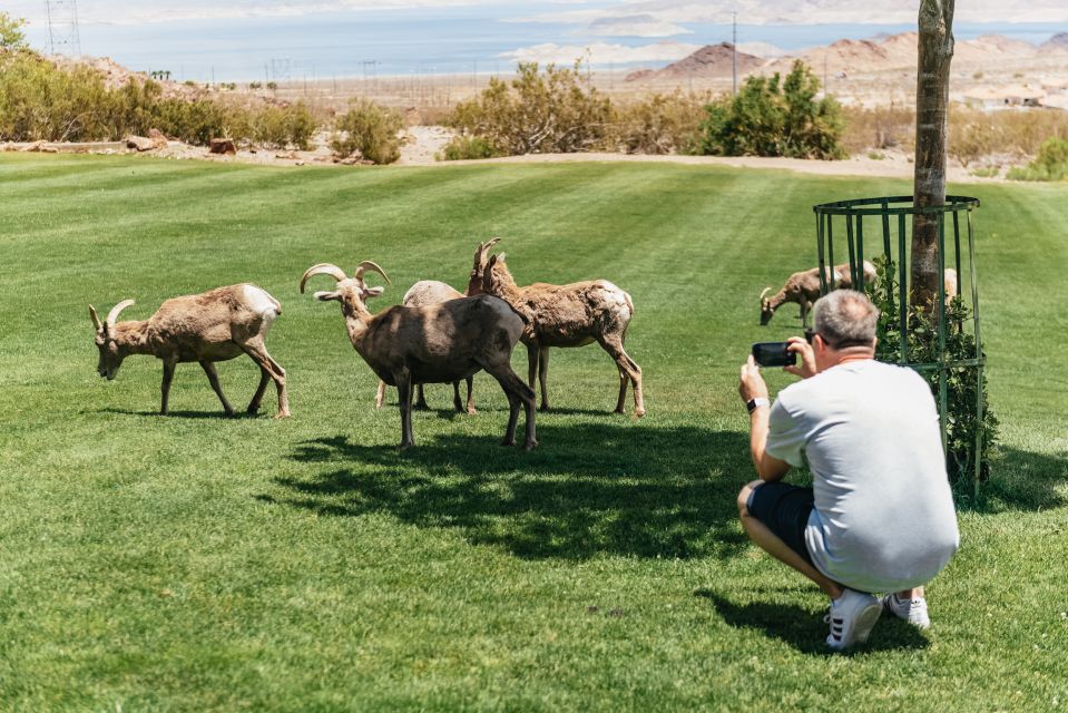 Las Vegas: Small Group 3-Hour Hoover Dam Mini Tour - Advance Booking Recommendation