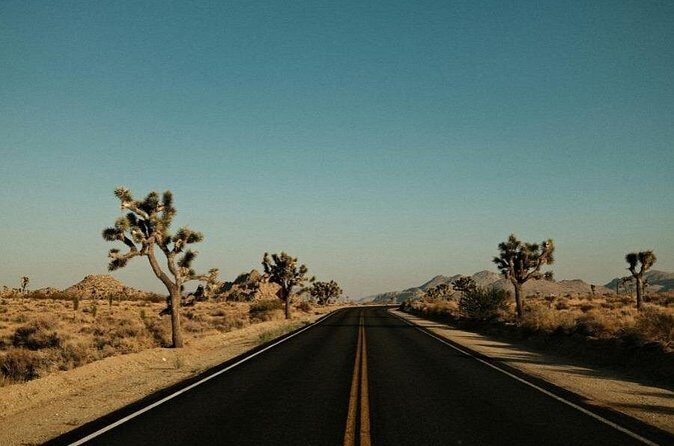 Las Vegas To Los Angeles One Way Tour Joshua Tree National Park - Authentic Insights from Past Reviewers
