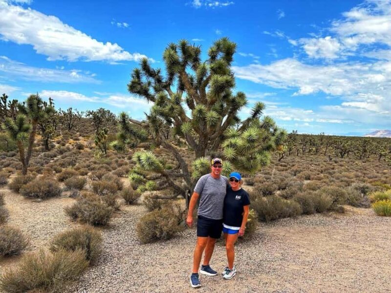 Las Vegas to Los Angeles One Way Tour via Joshua Tree NP - Key Points